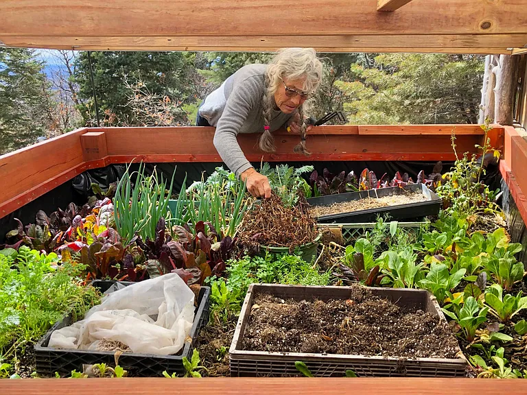 You will have fresh produce all winter from the GroBox, if you maintain it! And, it mostly waters itself, like a terrarium!