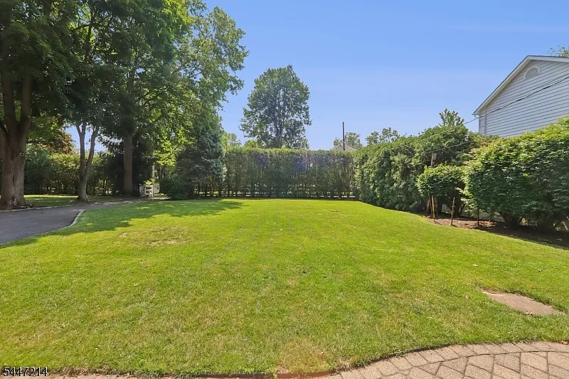 1 bed, 1.0 bath, $3,100 — Photo 3