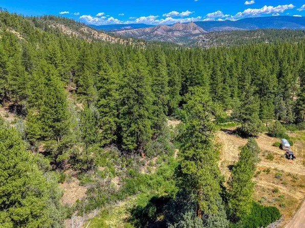 1859 County Road 917, Pagosa Springs, CO 81147
