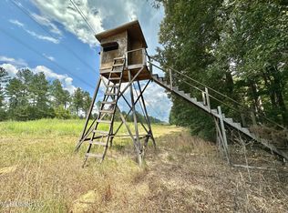 3 Dry Grove Rd, Terry, MS 39170