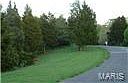 1st image of 2166 Meadow Forest Dr