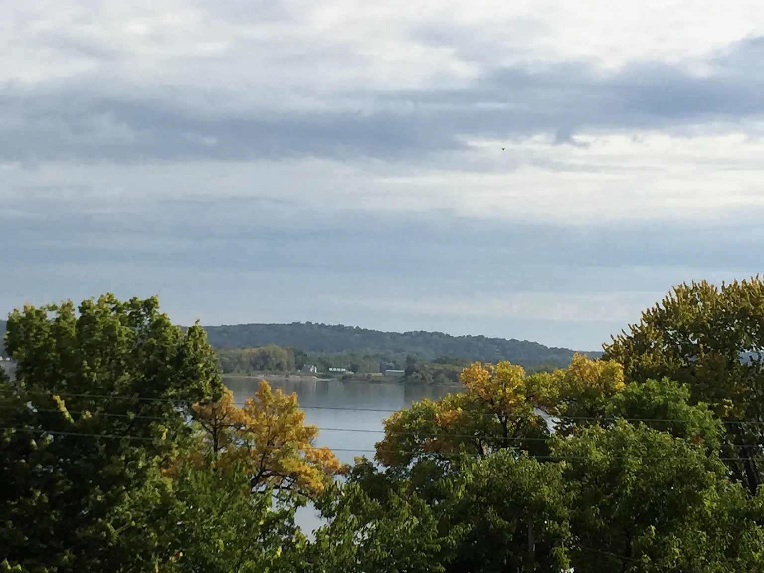 1 bed, 600 sqft, $890 — Photo 4