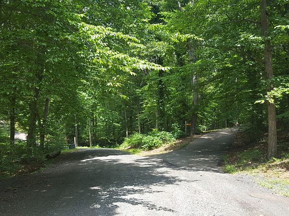 5th image of 11655 Crystal Creek Ln