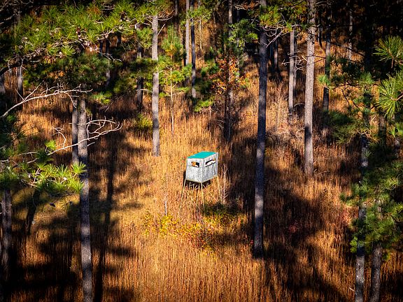 27th image of this home