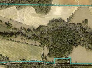 395 Hancock Rd, Doerun, GA 31744