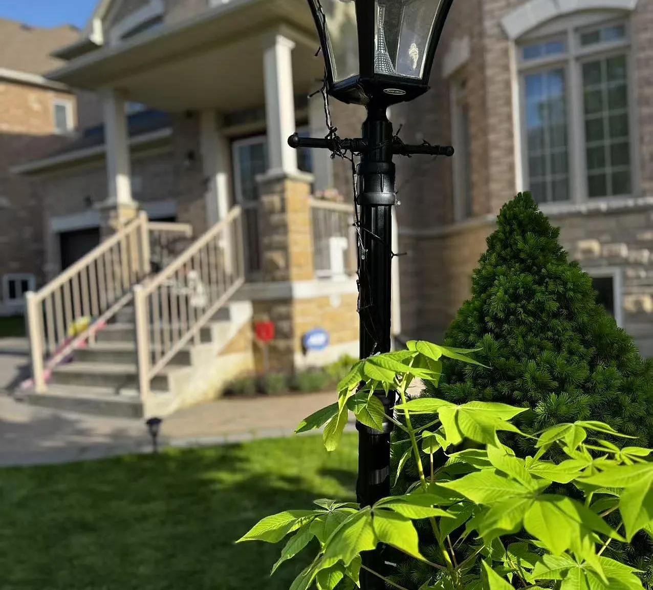 1 bed, $1,350 — Photo 1