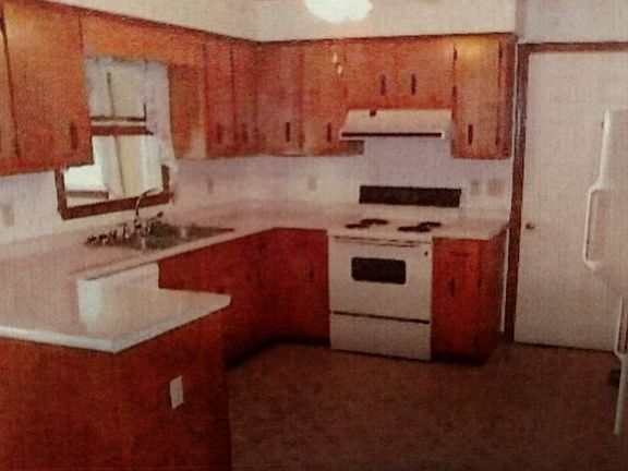 3rd image of 34084 Mulberry Ln
