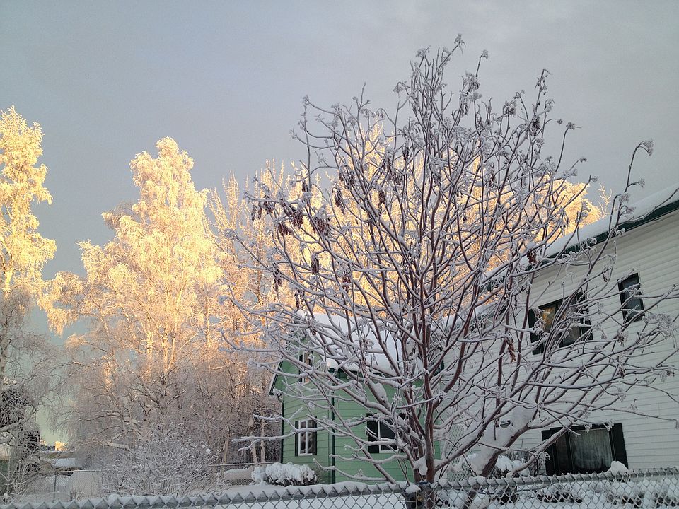 Winter in Fairbanks