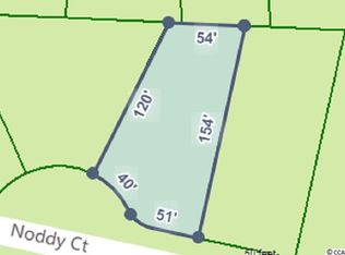 1013 Noddy Ct, Conway, SC 29526