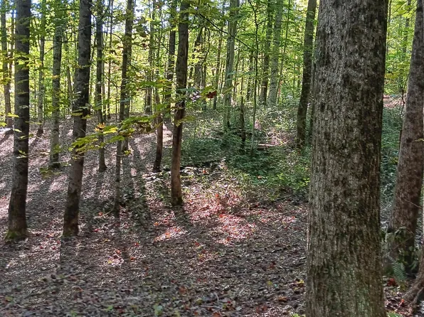 0 Calaway Rd Tract 1, Coolville, OH 45723