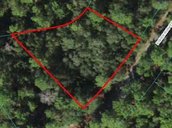 19 Fisher Ter Lot 19, Ocklawaha, FL 32179
