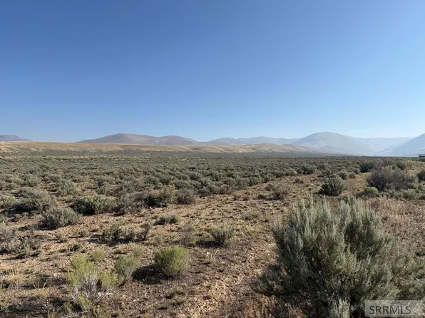 Nkn Peterson Creek Rd, Leadore, ID 83464