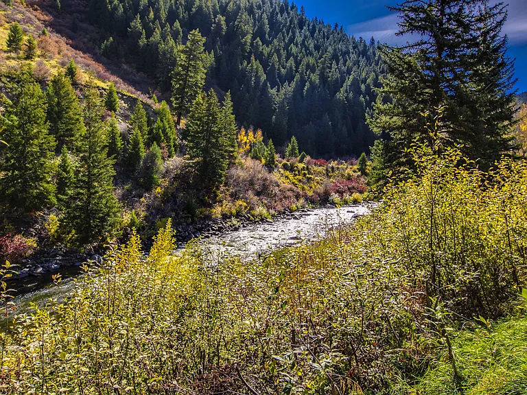 River Run — Photo 18