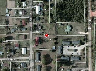 161 S Forest Ave, Slocomb, AL 36375