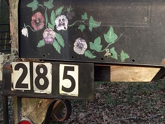 2nd image of 285 Bluebird Ln
