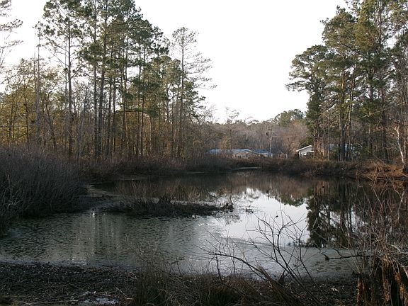 4th image of 17827 State Highway 129 N
