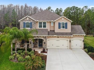 4061 Canino Ct, Zephyrhills, FL, 33543