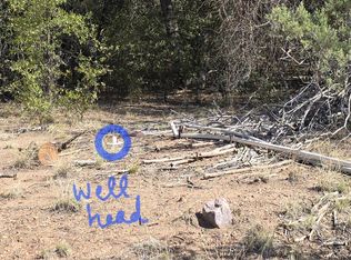 16 E Neaglin Xing, Young, AZ 85554