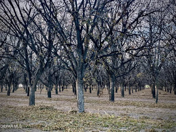 Gillett St, Canutillo, TX 79835