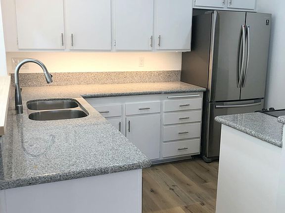 Undermounted Cabinet lights and Double Door Fridge