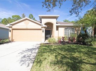 13222 Royal George Ave, Odessa, FL 33556