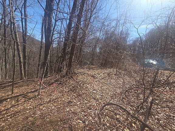 4th image of 820 Chestnut Flats Ln