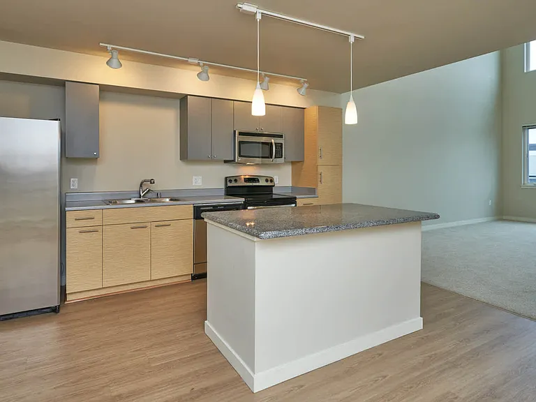 Kitchen with Stainless Steel Appliances
