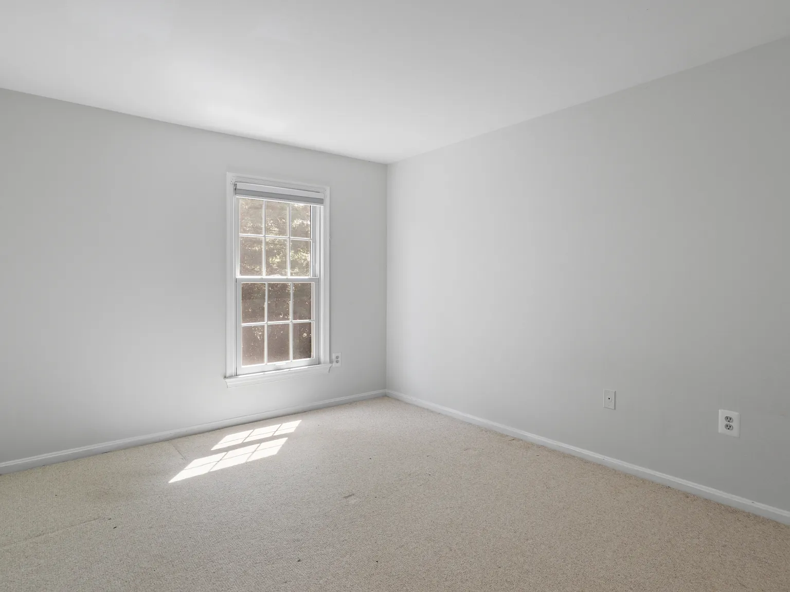 892 Van Dusen Court (VA) - 1 — Photo 4
