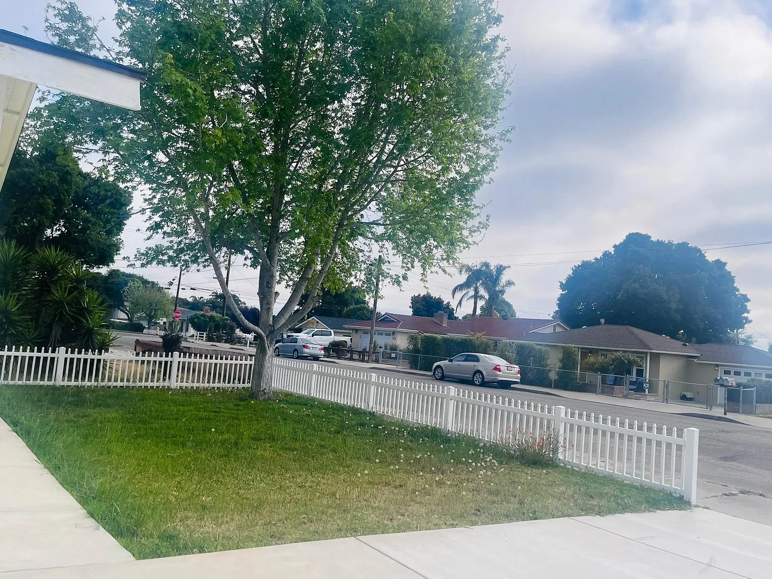 3 bed, 1424 sqft, $3,400 — Photo 3