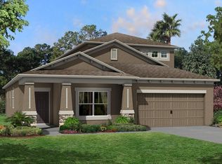 19437 Redwood Point Dr, Tampa, FL 33647