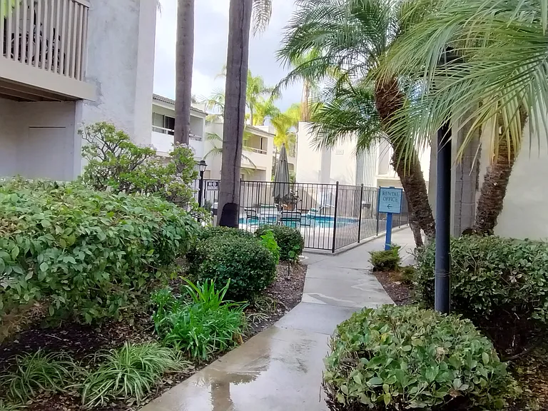 Black Mountain Villas — Photo 36
