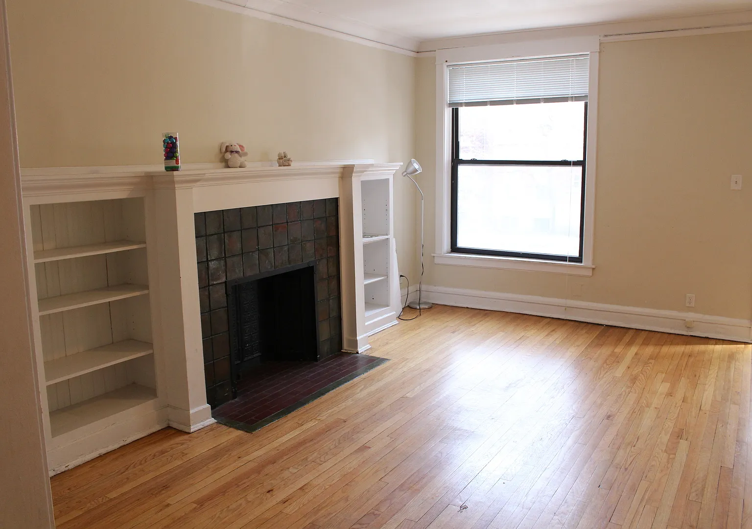 Ettinger Holdings (Series), LLC - 5436 S. Harper Ave. — Photo 3