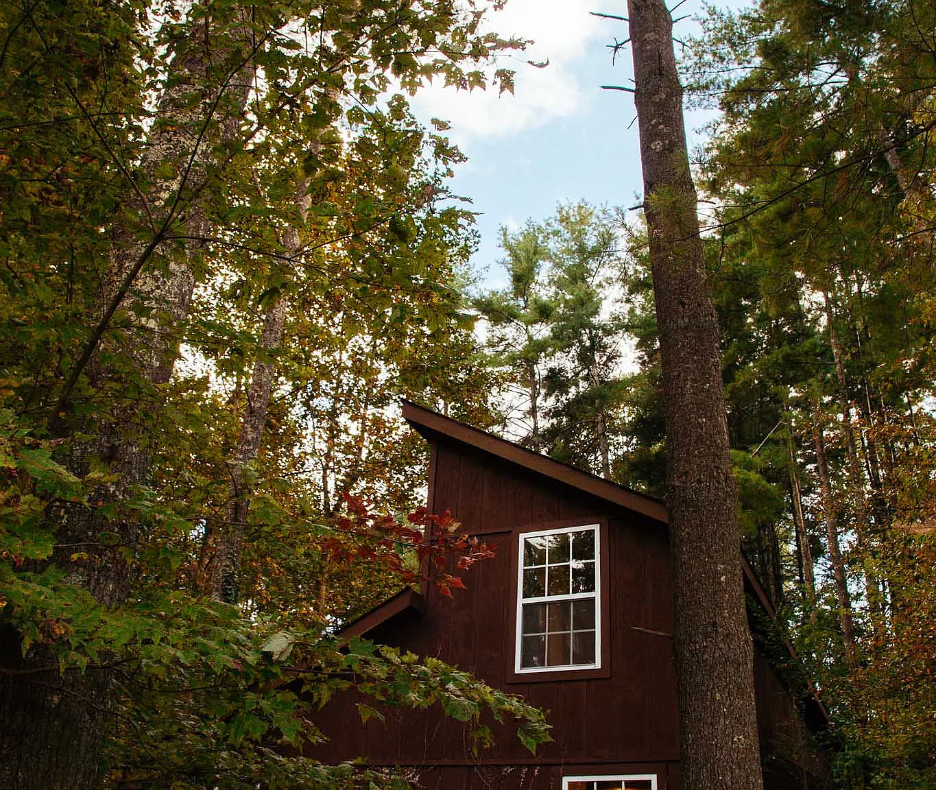 141 Moon Cir — Photo 3
