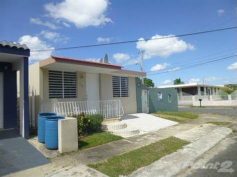 P1130383