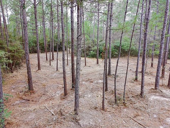 5th image of 209 Joskey Dykes Rd