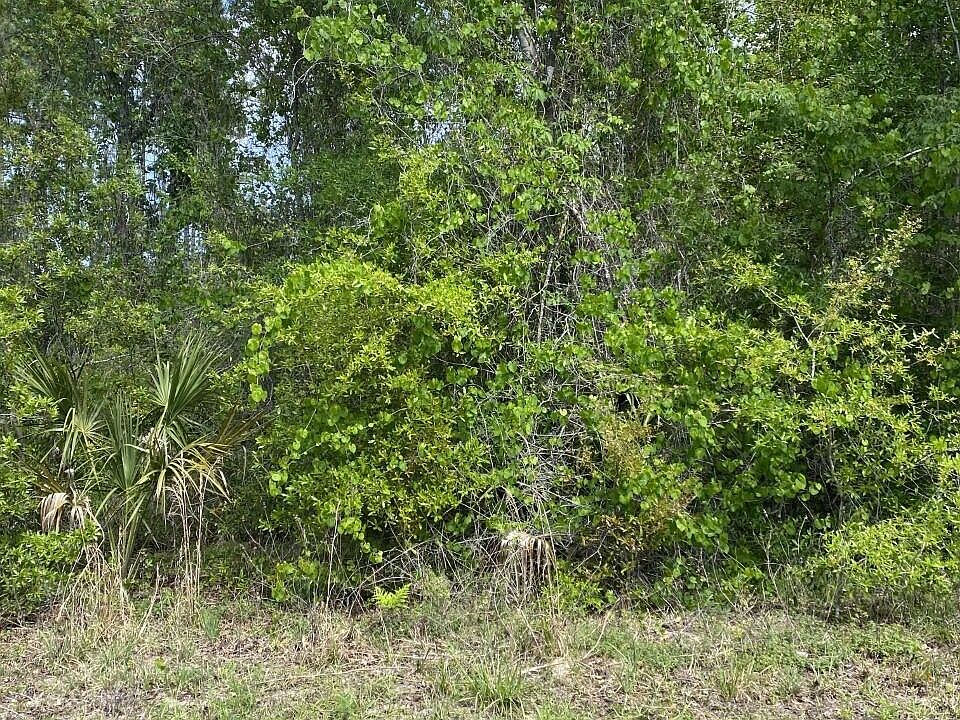 2nd image of 205 RIDGE Road