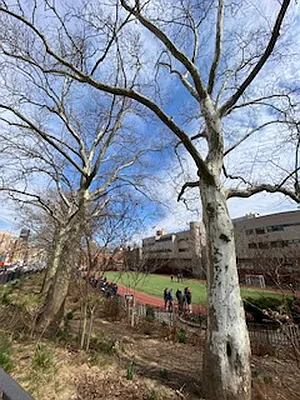 Rented by Corcoran | media 20