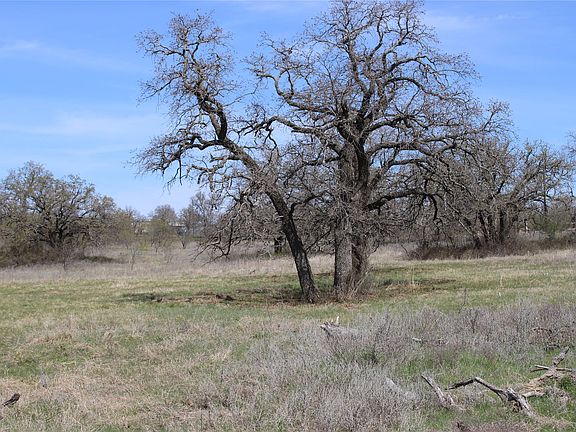 2nd image of Erwin Rd