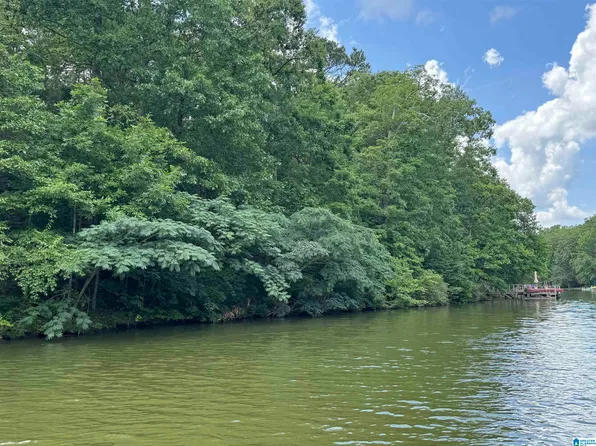 LOT 10 County Road 2565, Wedowee, AL 36278