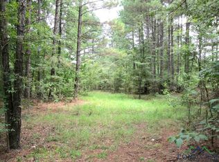 Tbd Willow Ln, Big Sandy, TX 75755