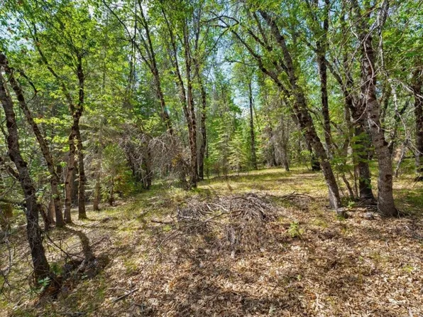 1-A-17 Mount Shasta Dr, McCloud, CA 96057