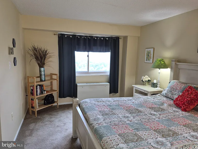 2500 N Van Dorn St #1001 — Photo 11