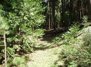 3901 Opal Trl, Pollock Pines, CA 95726