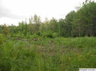 910 Mount Rd, Blountsville, AL 35031