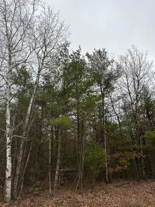 Swamp Lake Rd #4069-17, Tomahawk, WI, 54487