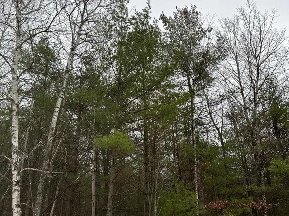Swamp Lake Rd #4069-17, Tomahawk, WI 54487