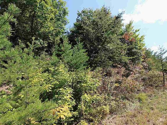 5th image of 60 Mountain Ash Way Lot 60
