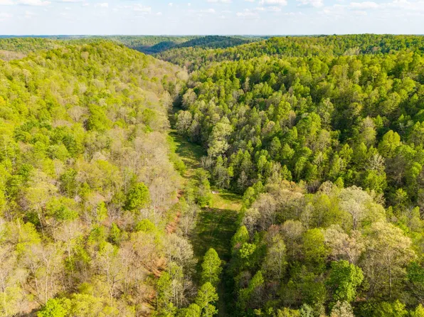 Cooper Ridge Rd, Olive Hill, KY 41164