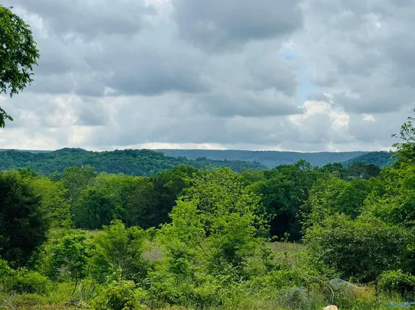 2803 Browder Rd NW, Fort Payne, AL 35968