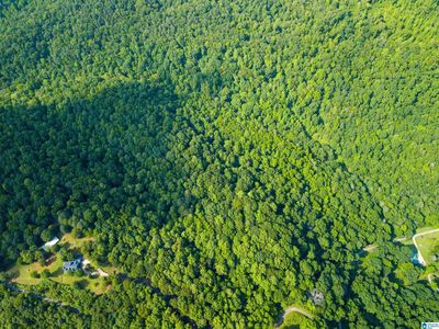 Cliff Rd, Springville, AL, 35146